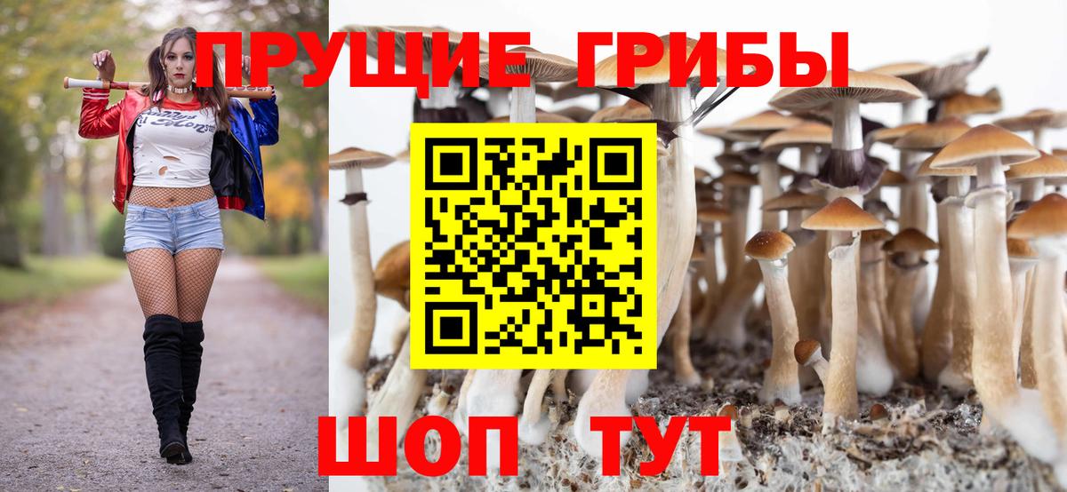 Холмск  Псилоцибиновые грибы Psilocybine cubensis  Вход с VPN 