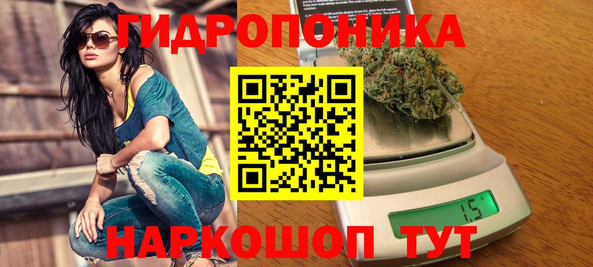 Бошки марихуана планчик  Вход с VPN  МАРИХУАНА конопля  Каннабис план  Холмск 